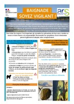 Affichette  cyanobacteries page 001