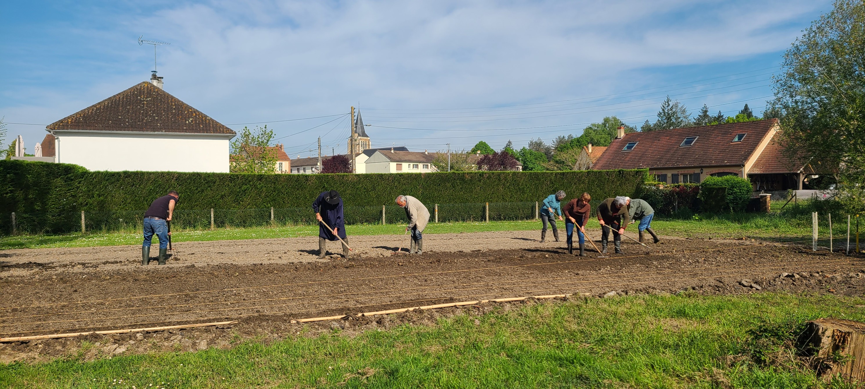 Semailles du chanvre