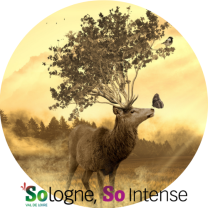 Sologne, So intense